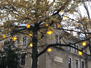 Sterne (15)