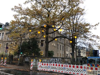 Sterne (16)