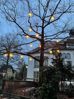 Sterne (2)