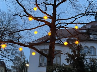 Sterne (4)