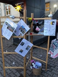 Sterne Bunte Schule (11)